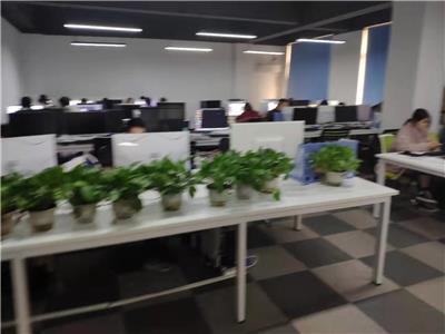 重慶企業軟件開發與保健項目合作 價格策略與批發模式探討